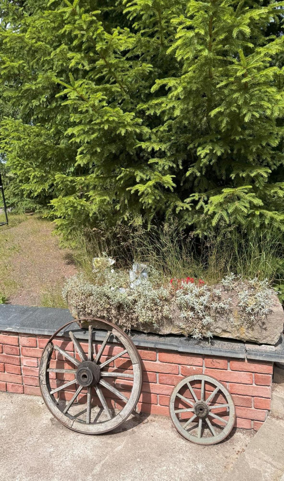 Marchewkowe Pole Villa Sosnina Kültér fotó