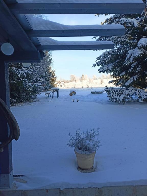 Marchewkowe Pole Villa Sosnina Kültér fotó